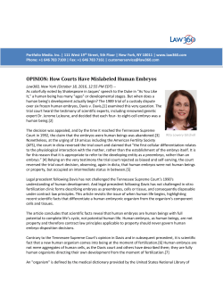 OPINION: How Courts Have Mislabeled Human Embryos