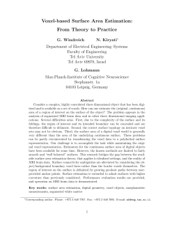 Voxel-based Surface Area Estimation: From Theory to Practice