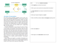 BIO 9 Ch. 7 sec. 1 Alcoholic Fermentation 1. What organisms use