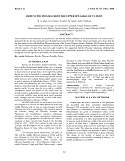 REDUNCINE FOSSILS FROM THE UPPER SIWALIKS OF TATROT