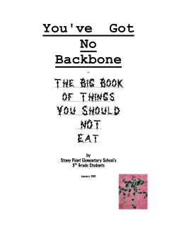 You`ve Got No Backbone