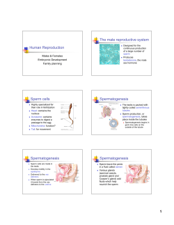 3-1 Human reprod F11