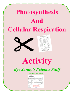 Photosynthesis And Cellular Respiration