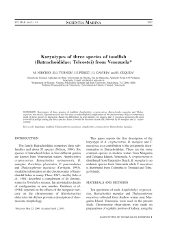 Karyotypes of three species of toadfish - ICM-CSIC