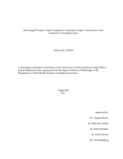 Discouraged Workers` Daily Occupations: Exploring Complex