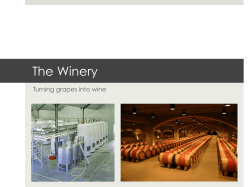 The Winery