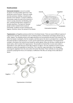 Parasitic protozoa