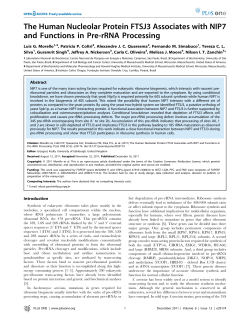 The Human Nucleolar Protein FTSJ3 Associates with NIP7 and