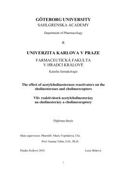 Introduction to the nervous system