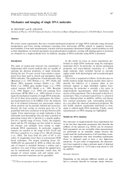 Mechanics and imaging of single DNA molecules