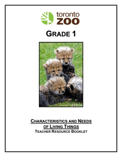 Tour for Grade 1 "Characteristics and Needs of Living