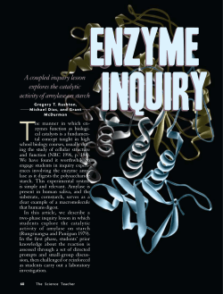 Enzyme Inquiry - Kennesaw State University