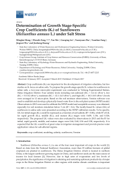 (Helianthus annuus L.) under Salt Stress