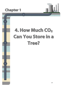 1.4 How Much CO2 Can Be Stored in a Tree?