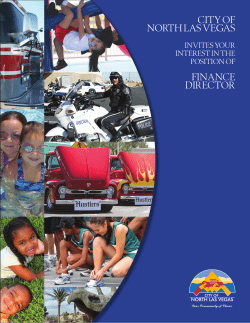 FIN DIR RECRUIT 2010.indd