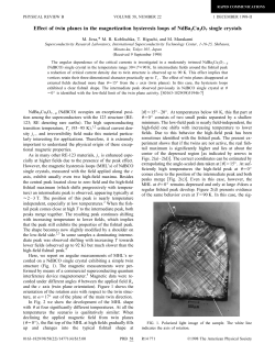 Effect of twin planes in the magnetization hysteresis loops of