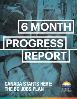 6-month Progress Update: PDF