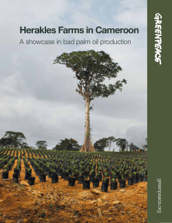 Herakles Farms in Cameroon