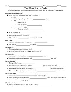 The Phosphorus Cycle