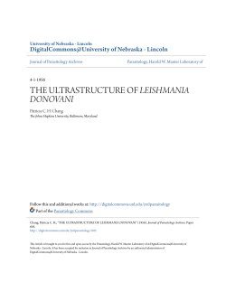 the ultrastructure of leishmania donovani