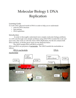 Molecular Biology I: DNA Replication