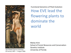 How EVE lead the flowering plants to dominate the world
