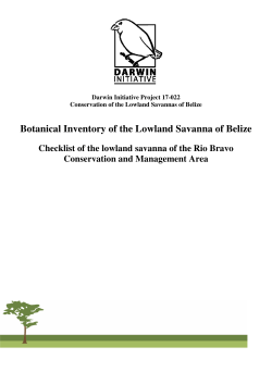 Botanical Inventory of the Lowland Savanna of Belize