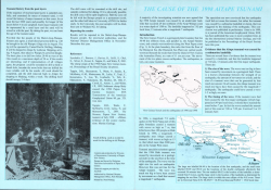 The Cause of the 1998 Aitape Tsunami