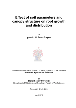 Effect of soil parameters and canopy structure on root growth and