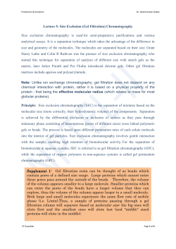 Size Exclusion (Gel Filtration)