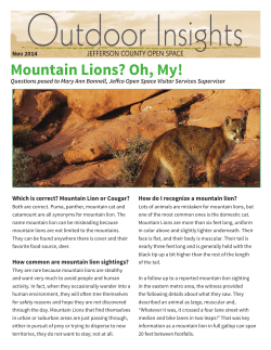 Mountain Lions? - Jefferson County, Colorado