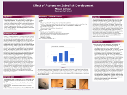 PowerPoint template for a scientific poster