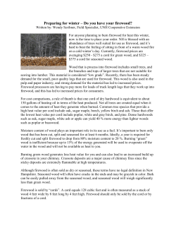 Preparing for winter &ndash; Do you have your firewood?