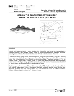 2005/057 - Vagues/Waves