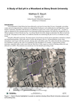 Study of Soil pH in a Woodland at Stony Brook Universit