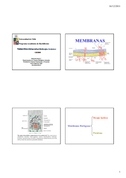 membranas - U