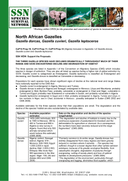North African Gazelles - Species Survival Network