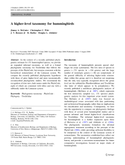 A higher-level taxonomy for hummingbirds