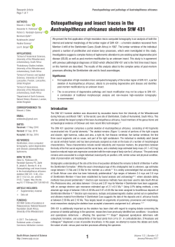 Osteopathology and insect traces in the Australopithecus africanus