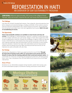 reforestation in haiti