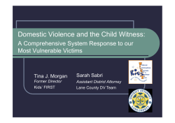 Domestic Violence and the Child Witness