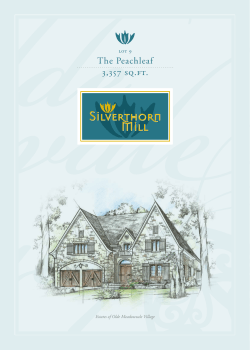 The Peachleaf 3357 sq.ft.