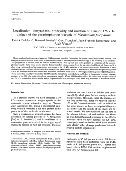 Localization, biosynthesis, processing and isolation of a major 126