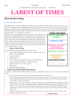 Summer 2013 - LaBest Pet Resort