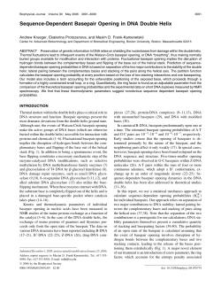 Sequence-Dependent Basepair Opening in DNA