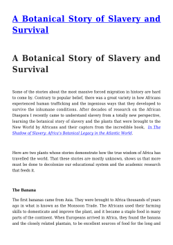 A Botanical Story of Slavery and Survival