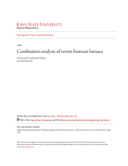 Combustion analysis of vortex biomass furnace