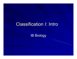 Classification I