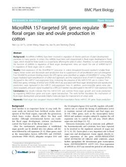 MicroRNA 157-targeted SPL genes regulate floral organ size and