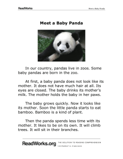 Meet a Baby Panda - Covington Independent Public Schools